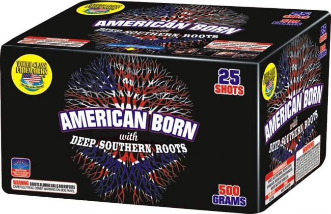 Fireworks